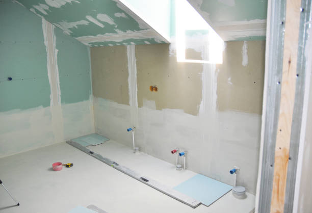 Best Attic Mold Removal  in Liberty City, TX