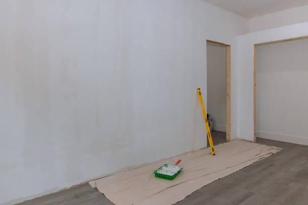 Best Industrial Mold Remediation  in Liberty City, TX
