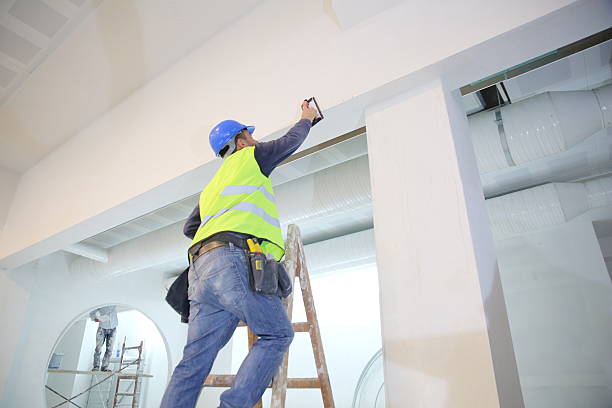 Reliable Liberty City, TX Mold Removal Solutions