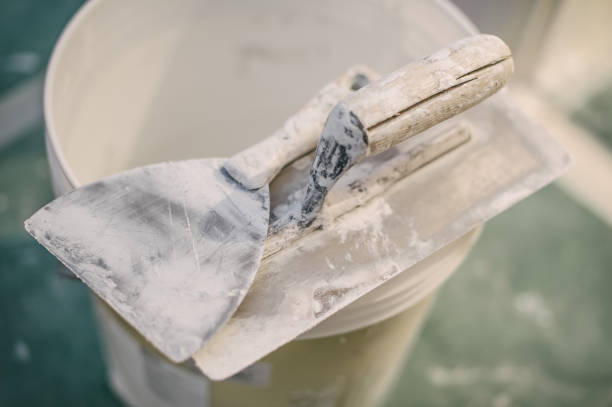Best Emergency Mold Remediation  in Liberty City, TX